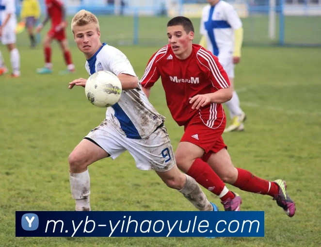 壹号娱乐平台生态图